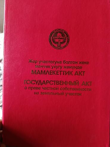 Другие фруктовые и ягодные растения: Продаю или меню на квартира Бишкеке на 2х комнатную. уже на наседеный — 22