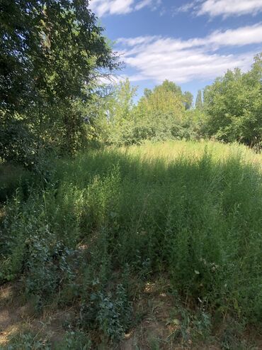 Продажа домов: Дом, 50 м², 4 комнаты, Собственник, Старый ремонт — 3