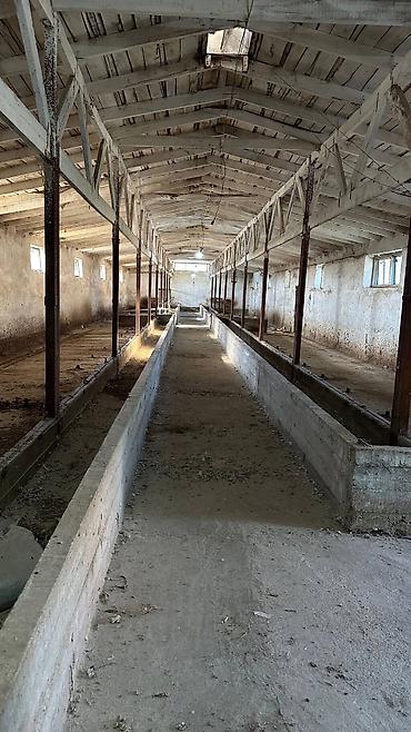 Продажа участков: 1700 соток, Для бизнеса, Красная книга, Договор купли-продажи — 8