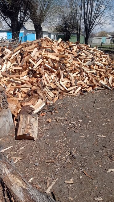 дрова в караколе: Дрова сухие Каракол 200 сом