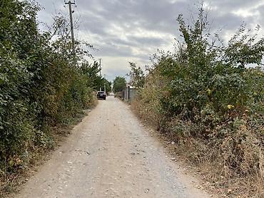 Продажа участков: 5 соток, Для строительства, Красная книга at lalafo.kg — 4 Продажа участков: 5 соток, Для строительства, Красная книга — 4