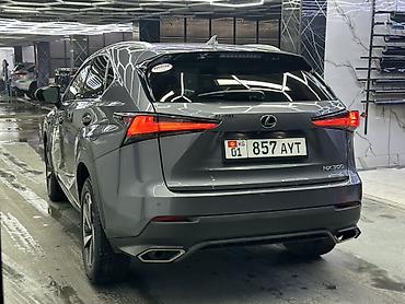 Lexus: Lexus NX: 2020 г., Бензин, Кроссовер — 6