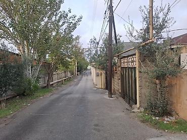 torpaq satisi: Tikinti — 4