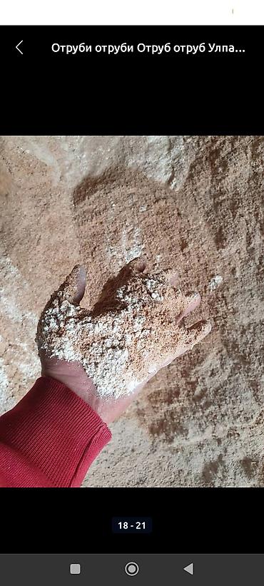 Корма для с/х животных: Улпак отруби кебек оптом - Натуральные отруби крупного и среднего — 4