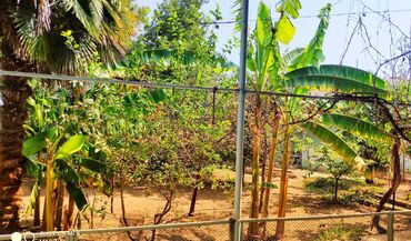 Həyət evləri və villaların satışı: 5 otaqlı, 260 kv. m, Orta təmir -da lalafo.az — 10 Həyət evləri və villaların satışı: 5 otaqlı, 260 kv. m, Orta təmir — 10