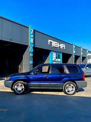 255 35 20: Subaru Forester: 2004 г., 2.5 л, Автомат, Бензин, Кроссовер — 8