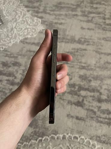 Apple iPhone: IPhone 13 Pro Max, 128 ГБ, Графит — 11