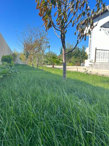 Bağ evlərinin satışı: Bakı, Kürdəxanı qəs., 190 kv. m, 5 otaqlı, Hovuzlu, Kombi, Qaz, İşıq — 24