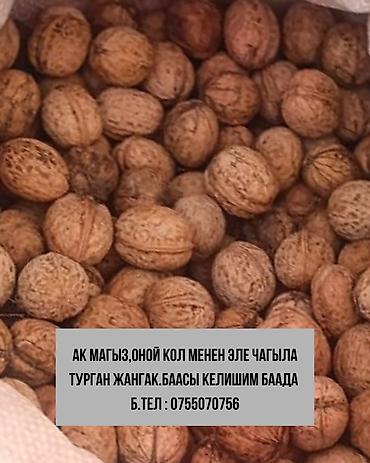 уголь кара кече бишкек цена: Грецкий орех в скорлупе. - Сорт: светлая ядра (указано «ак маңыз» — — 1