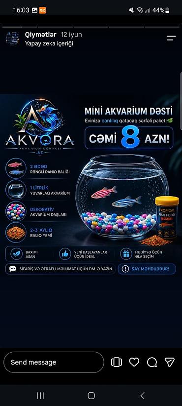 skat balığı: Yumru akvarium, Balıqlarla birlikdə, 1 l — 4
