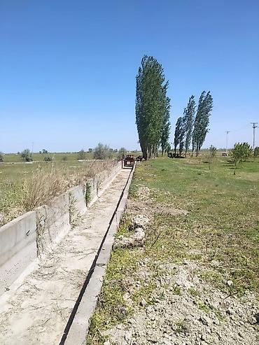 куры живые: Farm КРС, 10000 соток, Действующий, Частично с оборудованием, Электричество — 4