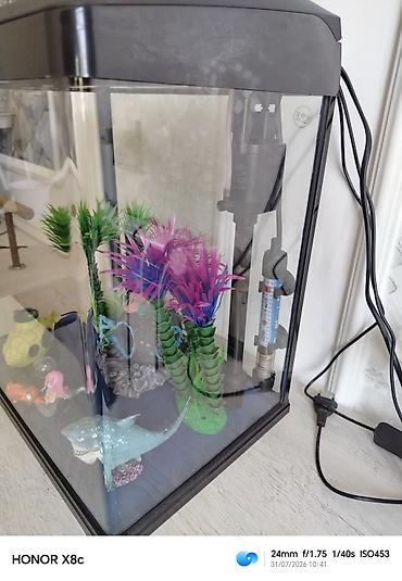 akvarium satilir: Tezedi zavod istehsalıdi bütün aksesuarlariyla birlikdə satilir — 3