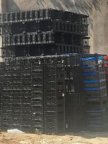 Mağaza avadanlığı: Məhsul: Plastik tərəvəz/mevə yeşikləri (qablaşdırma səbətləri) — 2