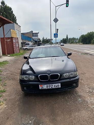 ноздря на субару: BMW 5 series: 2003 г., 0.1 л, Механика, Бензин, Седан — 1