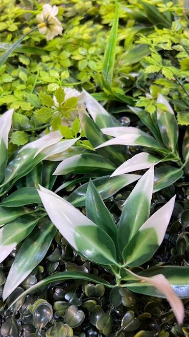 Süni güllər: Süni yaşıl divar paneli müxtəlif yaşıl yarpaqların və qırmızı — 26