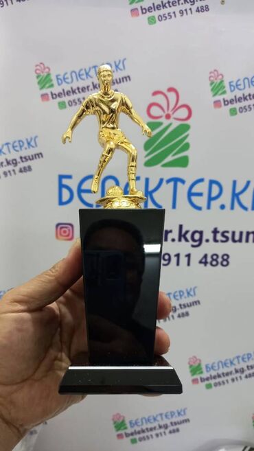 Значки, ордена и медали: ✅ Стеллы на черном хрустале ✅ Футбол ✅ Бильярд ✅ Студент ✅ — 8