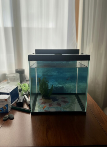 Akvariumlar: Akvaryum dəsti 1 akvaryum tezedi qalan herwey iwlenmiwdi ekseryeti az — 1