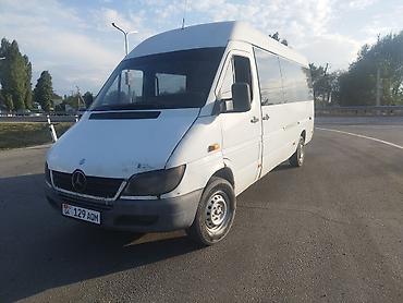 короткий спринтер: Mercedes-Benz Спринтер: 2003 г., 2.9 л, Механика, Дизель, Бус — 4