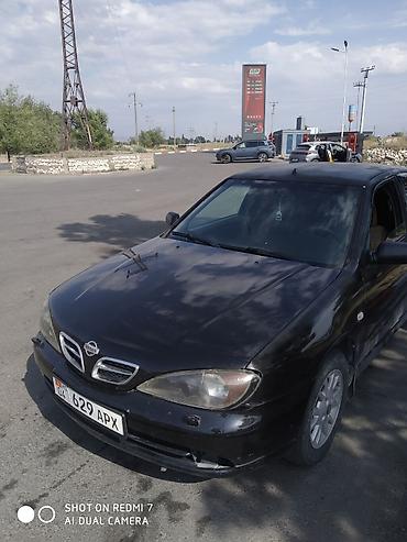 Унаа сатуу: Nissan Primera: 2001 г., 1.8 л, Кол менен иштөөчү, Бензин, Седан — 2