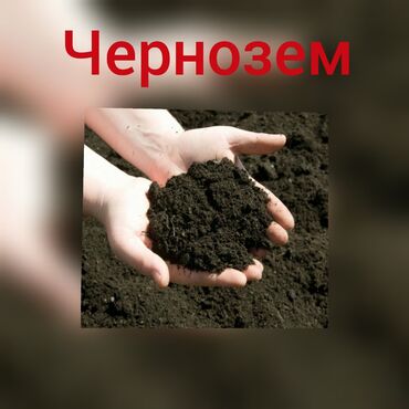 Грунт, чернозем: Чернозем ХОВО недорого