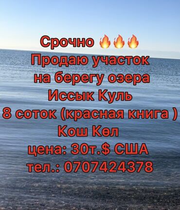 участок иссык кол: 8 соток, Красная книга