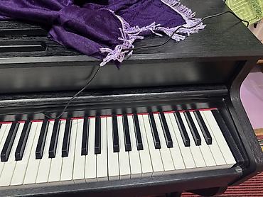 Musiqi alətləri: Rəqəmsal pianino – klassik korpusda, 88 klavişli tam ölçülü klaviatura — 5