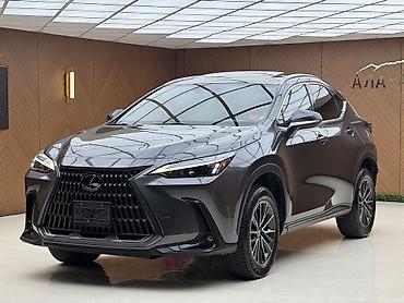 авта: Lexus NX: 2022 г., 2.5 л, Автомат, Гибрид, Кроссовер — 3