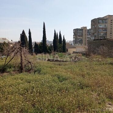 Torpaq sahələrinin satışı: 16 sot, Tikinti, Mülkiyyətçi, Kupça (Çıxarış) — 11