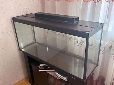 Digər məhsullar: Hazır akvarium komplekti satılır\. Akvariumla birlikdə filtr — 3