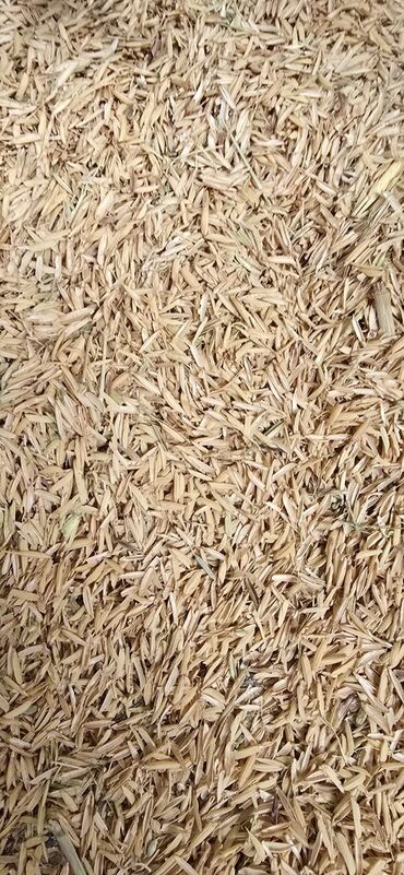 Холодильное оборудование: Düyü qabığı (rice husk) Tonlarla qurudulmuş düyü qabığı satılır!