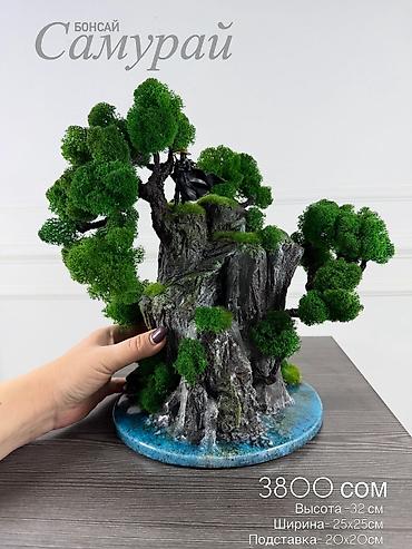 Декоративные цветы: Бонсай ручной работы из натурального стабилизированного мха от 1500 — 56