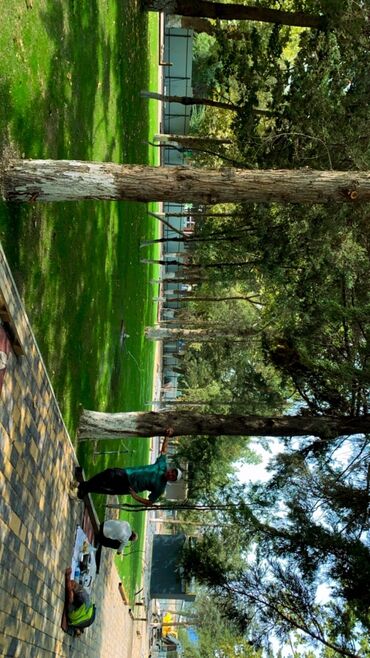 Другие системы полива: Автополив для газонов и сада — проектирование и монтаж «под ключ» — 8