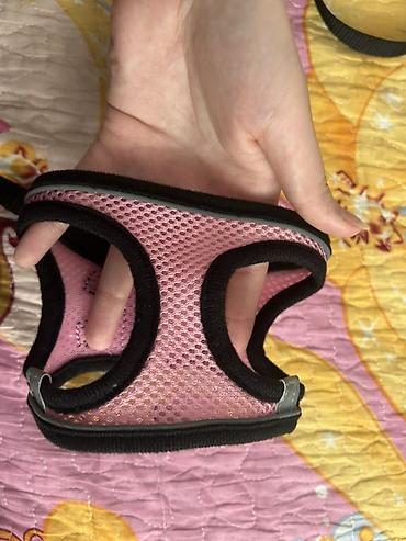 Heyvanları qırxmaq üçün avadanlıqlar: Ev heyvanları üçün baxım dəsti - Tük darağı: Geniş başlıqlı — 11