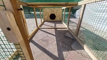 Товары и оборудование для с/х животных: Цена от 5000 и выше в зависимости от размеров. Уяча, гнездо с — 8