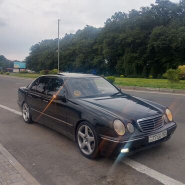 Mercedes-Benz: Mercedes-Benz 320: 3.2 l | 2001 il — 14