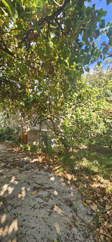 Torpaq sahələrinin satışı: 48 sot, Kənd təsərrüfatı, Kupça (Çıxarış) — 26