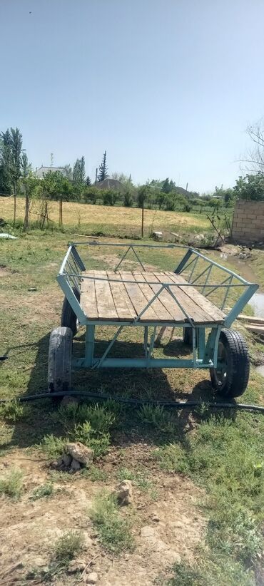 turbo az traktor t 40: At arabası satlır 350 manata saatlı rayonunda