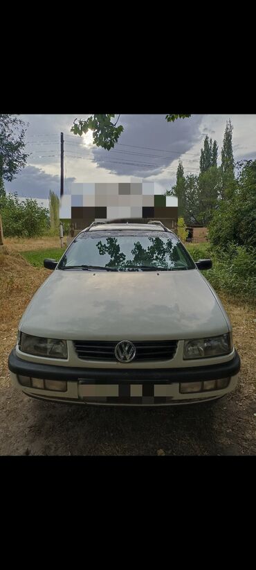 голы купе: Volkswagen Passat Variant: 1996 г., 2 л, Механика, Бензин
