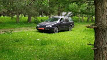 акпп на демио: Volkswagen Passat: 1994 г.