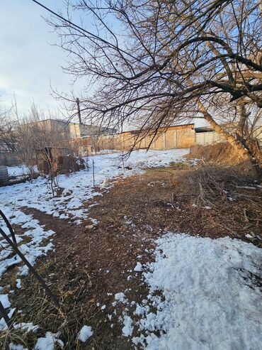 Продажа домов: Дом, 40 м², 3 комнаты, Собственник, Старый ремонт — 16