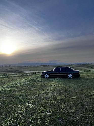 bew e39: Mercedes-Benz E-Class: 1999 г., 5 л, Автомат, Бензин, Седан — 5