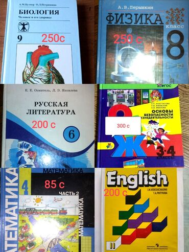 где можно купить аттестат за 11 класс: Книги: Русская литература 6 кл 200 с, английский 2кл 200 с, ОБЖ 3-4