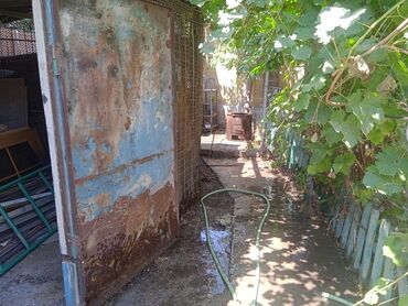 Продажа домов: Дом, 77 м², 3 комнаты, Собственник, Старый ремонт at lalafo.kg — 11 Продажа домов: Дом, 77 м², 3 комнаты, Собственник, Старый ремонт — 11