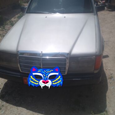 Mercedes-Benz: Mercedes-Benz W124: 1986 г., 2.9 л, Механика, Дизель, Седан