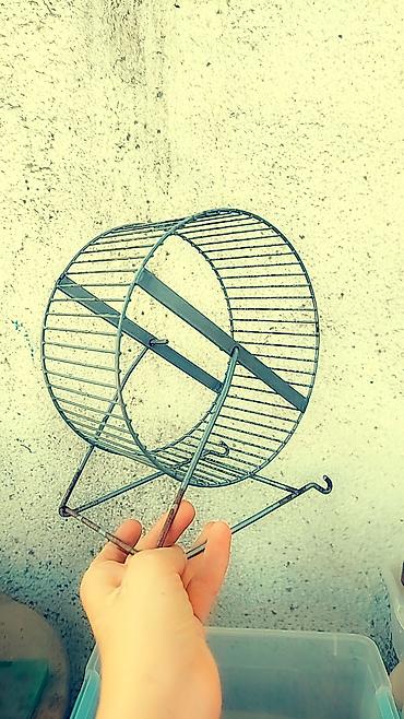 Зоотовары: Набор для содержания хомяков и мелких грызунов. В комплекте: - 2 — 13
