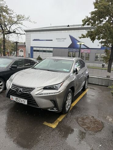 подсветка для салона: Lexus NX: 2020 г., 2 л, Автомат, Бензин, Кроссовер