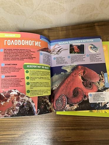 Ensiklopediyalar: Üç kitaba 18 man 🌺 KidzLab “Artırılmış Reallıq Ensiklopediyaları” – 3 — 3