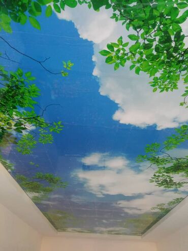 Натяжной потолок: Натяжной потолок Глянцевое, Матовое, 3D потолки Бесплатная консультация, Демонтаж, Бесплатный замер — 4