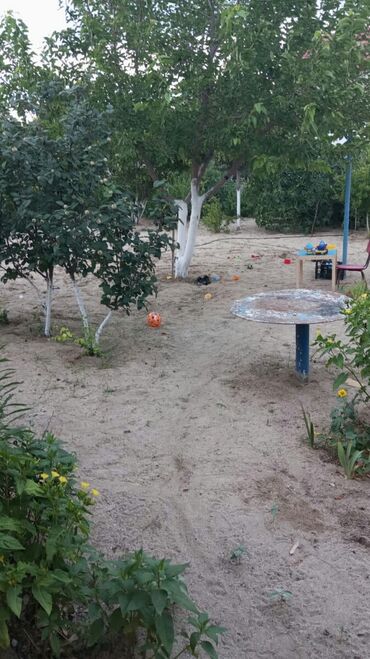 Bağ evlərinin kirayəsi: 100 kv. m, 3 otaqlı, Hovuzsuz, Qaz, Su, İnternet — 14