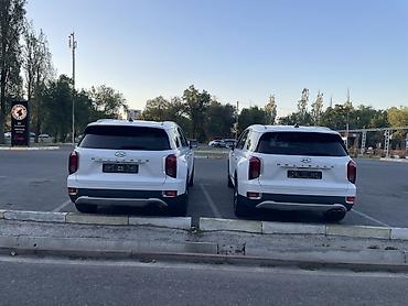 haval h3: Hyundai Palisade: 2021 г., 2.2 л, Автомат, Дизель, Кроссовер — 7